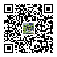 东莞配电安装公司|工厂水电安装公司|注塑机水电气安装|空压机气管安装|配电柜维修|配电房维保|拉电缆施工队|变压器预防性试验|空压机管道安装